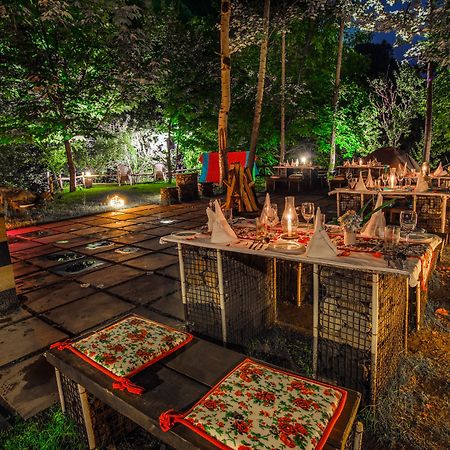 Solang Valley Resort Palchan Luaran gambar
