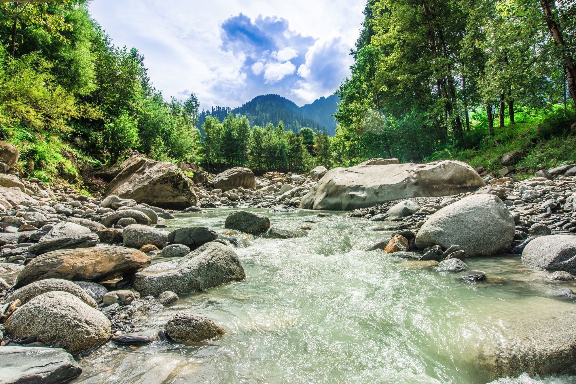 Solang Valley Resort Palchan Luaran gambar