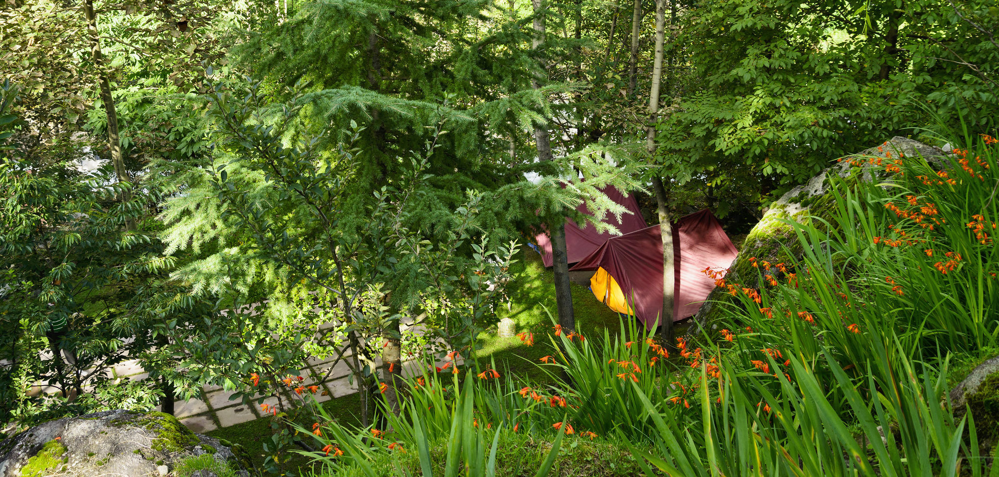 Solang Valley Resort Palchan Luaran gambar