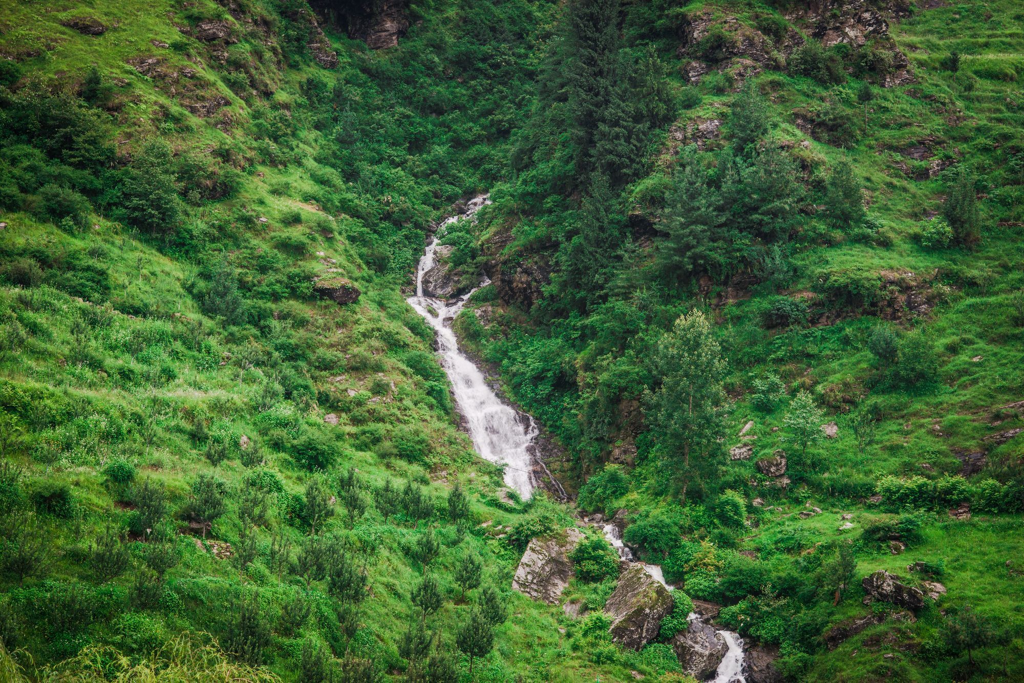 Solang Valley Resort Palchan Luaran gambar