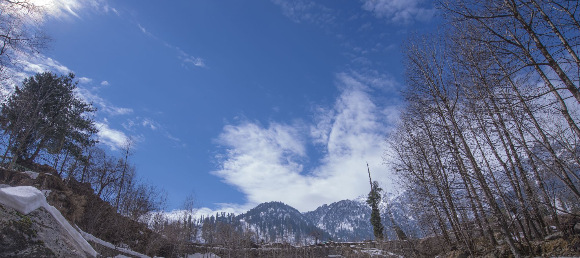 Solang Valley Resort Palchan Luaran gambar