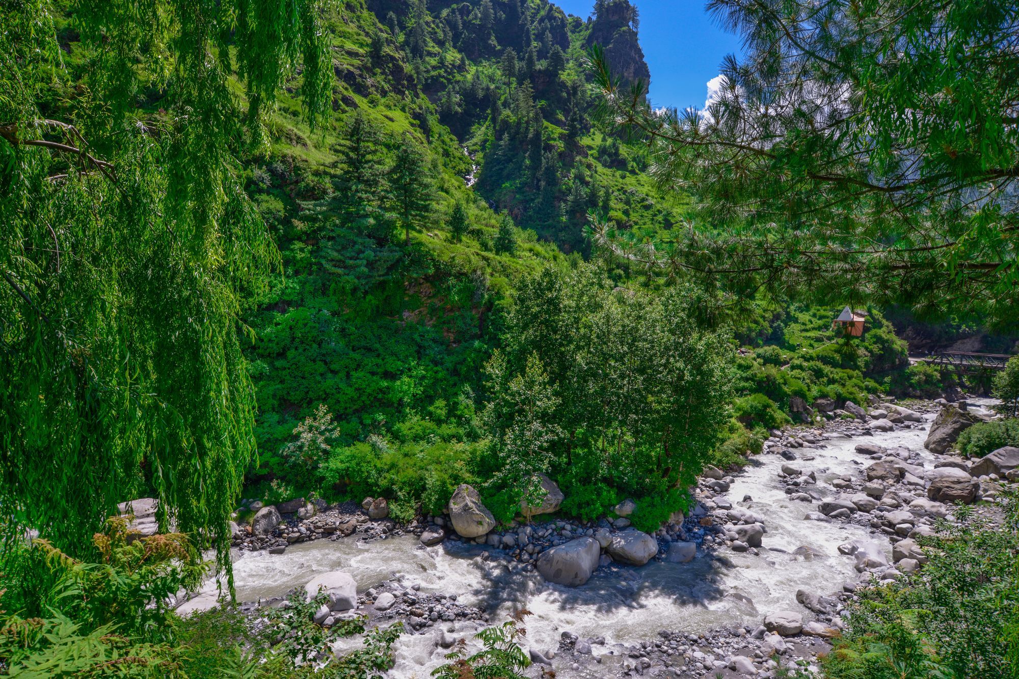 Solang Valley Resort Palchan Luaran gambar