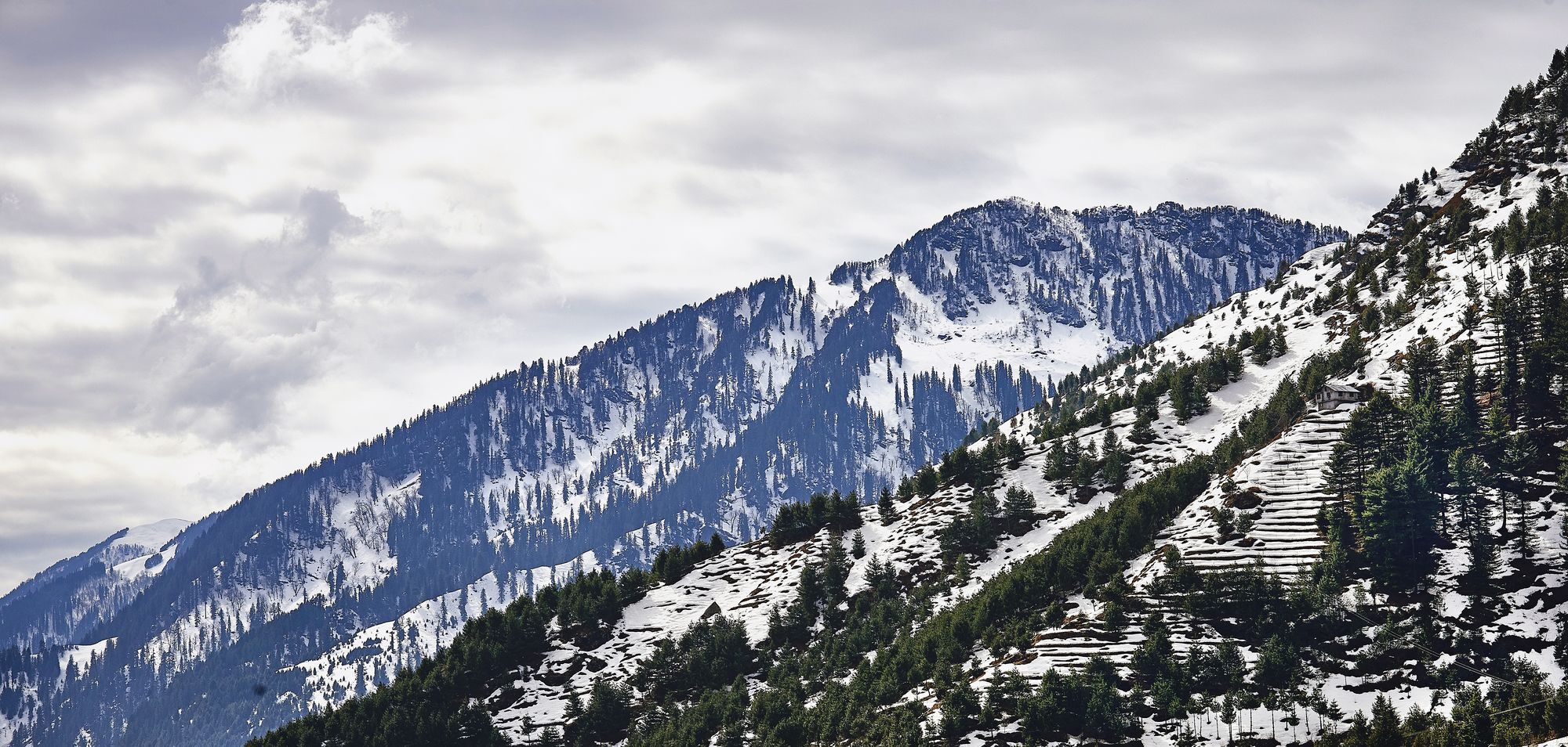 Solang Valley Resort Palchan Luaran gambar