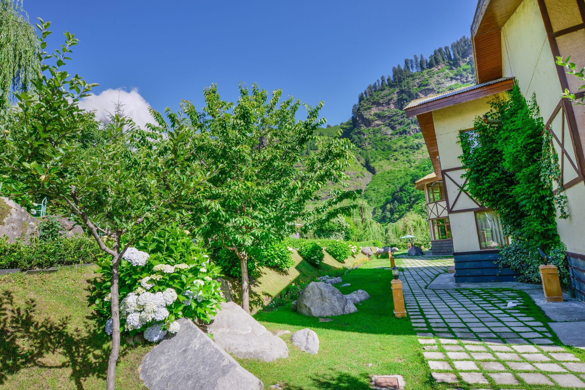 Solang Valley Resort Palchan Luaran gambar
