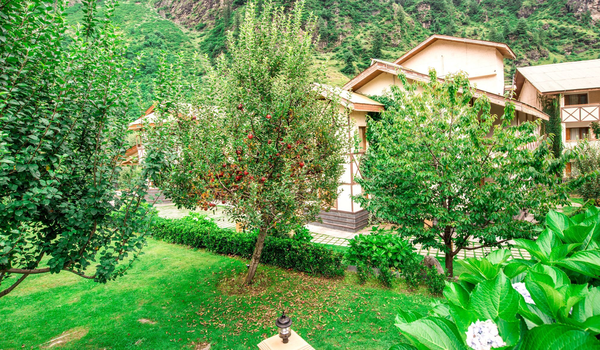 Solang Valley Resort Palchan Luaran gambar