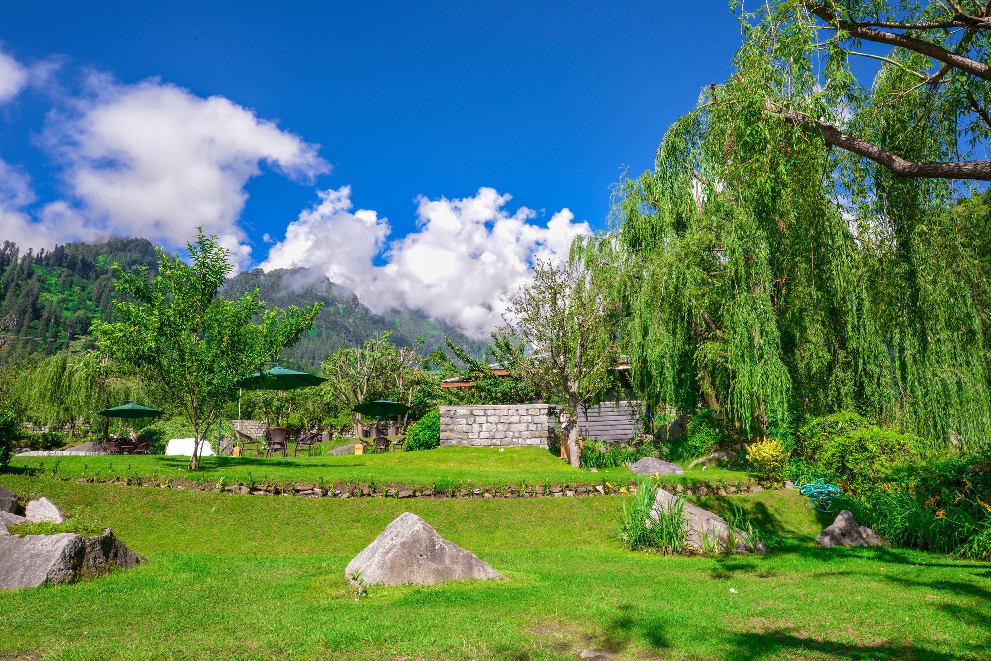Solang Valley Resort Palchan Luaran gambar